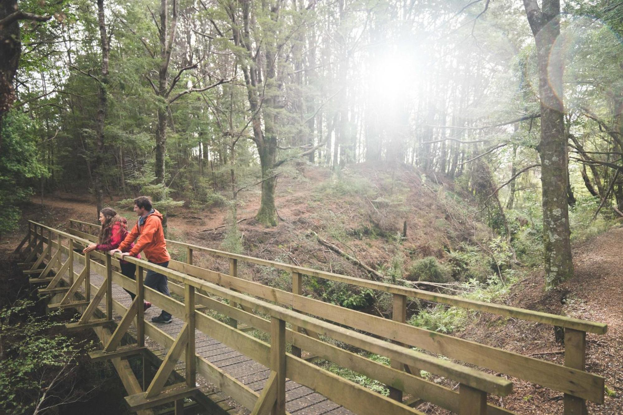 Fiordland National Park Lodge Te Anau Downs Buitenkant foto