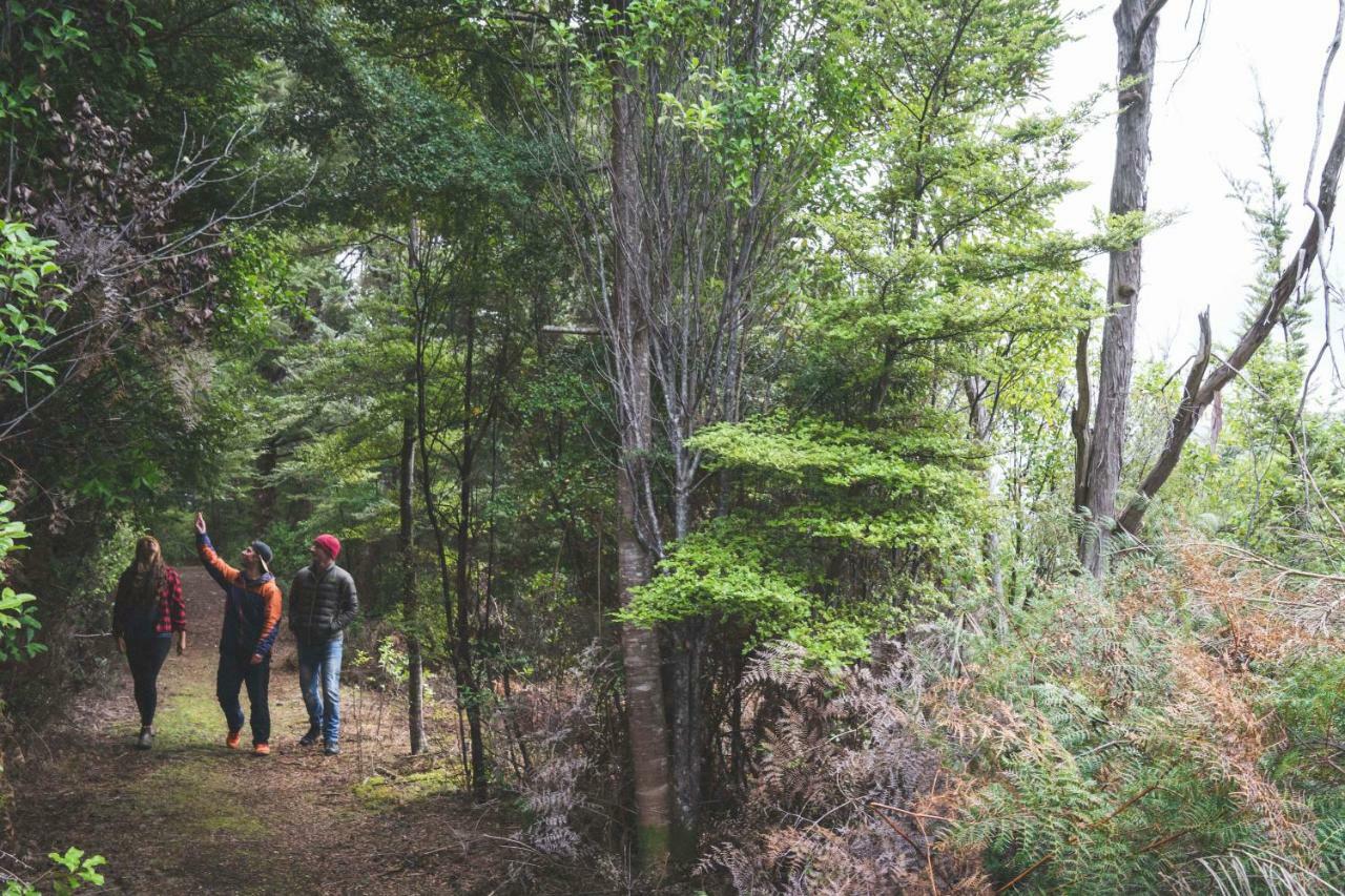 Fiordland National Park Lodge Te Anau Downs Buitenkant foto